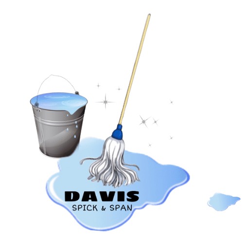Davis Spick & Span Logo